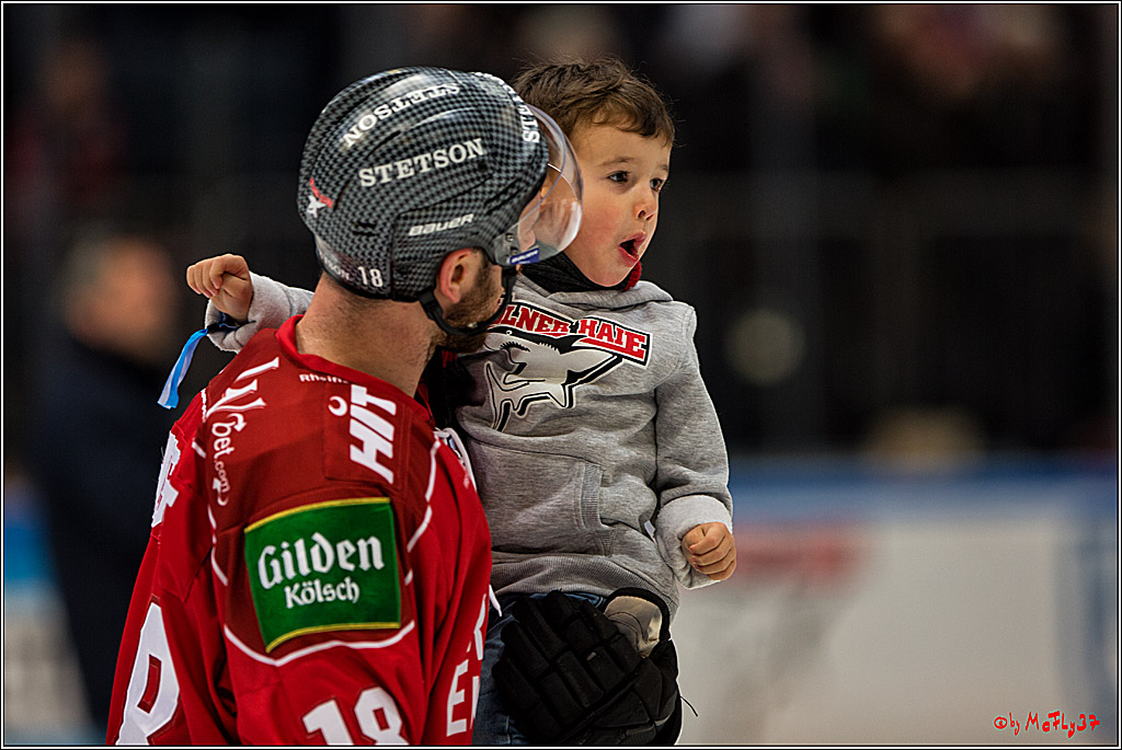Koelner Haie - Nuernberger Ice Tiger, 04.12.2016